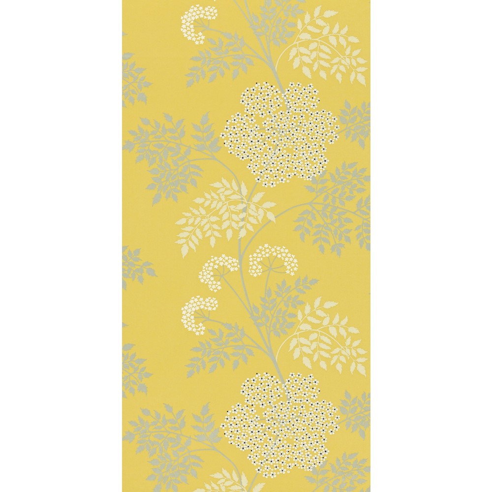 Cowparsley Floral Wallpaper 105 by Sanderson in Chinese Yellow